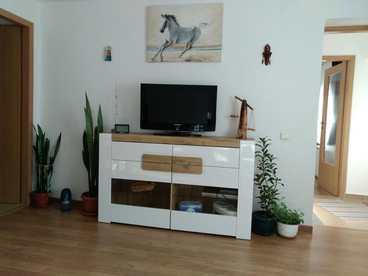 Otopeni Therme Airport Apartment Екстериор снимка